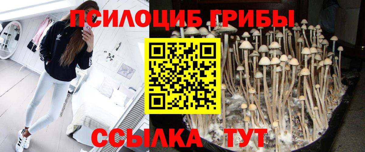 Псилоцибиновые грибы Magic Shrooms Чернушка
